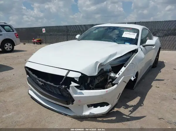 1FA6P8TH4R5106804 2024 FORD MUSTANG - Image 2