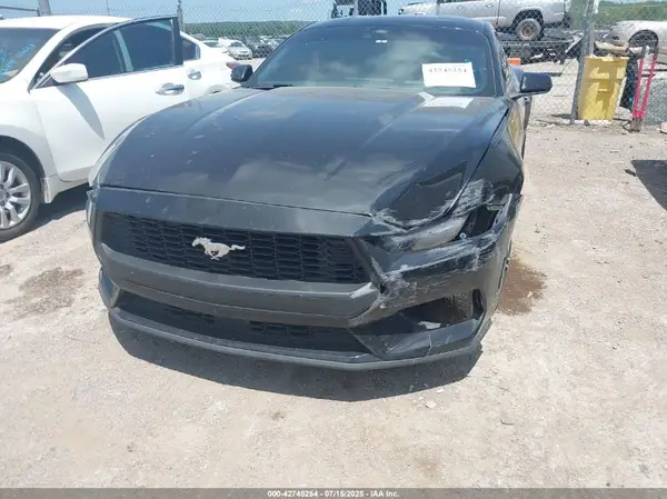 1FA6P8TH4R5107323 2024 FORD MUSTANG - Image 2