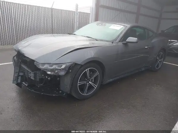 1FA6P8TH4R5107693 2024 FORD MUSTANG - Image 2