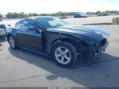 1FA6P8TH4R5109251 2024 FORD MUSTANG