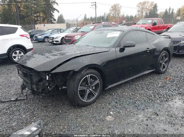 1FA6P8TH4R5109430 2024 FORD MUSTANG - Image 2