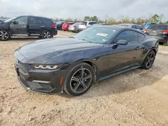 1FA6P8TH4R5113509 2024 FORD MUSTANG