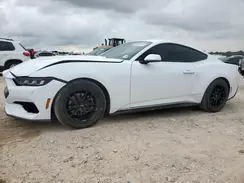 1FA6P8TH4R5113865 2024 FORD MUSTANG