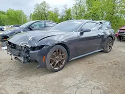 1FA6P8TH4R5117804 2024 FORD MUSTANG