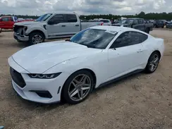 1FA6P8TH4R5118970 2024 FORD MUSTANG