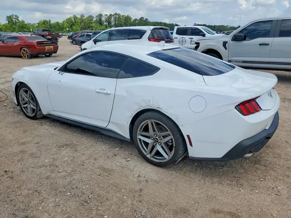1FA6P8TH4R5118970 2024 FORD MUSTANG - Image 2