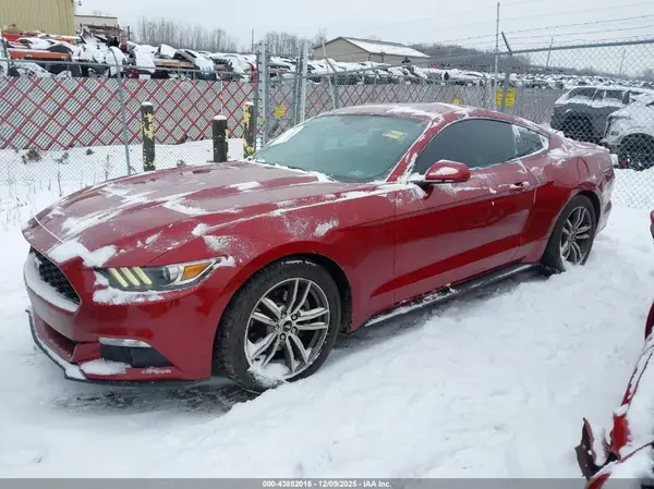 1FA6P8TH5G5253033 2016 FORD MUSTANG - Image 2
