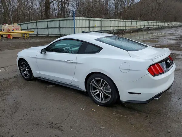 1FA6P8TH5G5259009 2016 FORD MUSTANG - Image 2