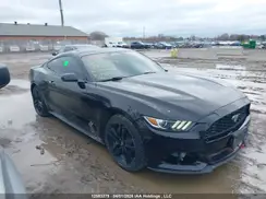1FA6P8TH5G5319807 2016 FORD MUSTANG