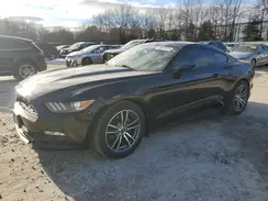 1FA6P8TH5H5229915 2017 FORD MUSTANG