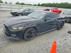 1FA6P8TH5H5230241 2017 FORD MUSTANG