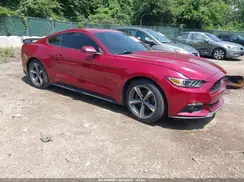 1FA6P8TH5H5239036 2017 FORD MUSTANG