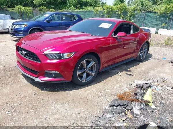 1FA6P8TH5H5239036 2017 FORD MUSTANG - Image 2
