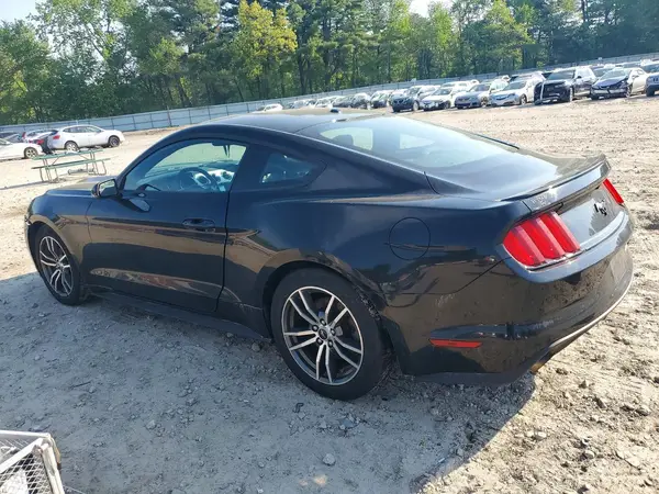 1FA6P8TH5H5295929 2017 FORD MUSTANG - Image 2