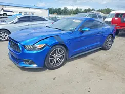 1FA6P8TH5H5332252 2017 FORD MUSTANG