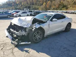 1FA6P8TH5H5338892 2017 FORD MUSTANG