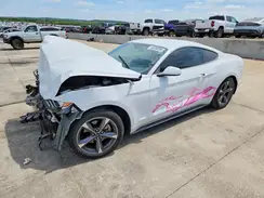 1FA6P8TH5H5343994 2017 FORD MUSTANG