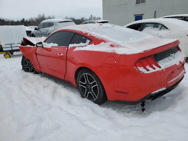1FA6P8TH5K5102976 2019 FORD MUSTANG - Image 2
