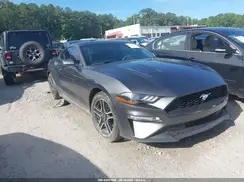 1FA6P8TH5K5116389 2019 FORD MUSTANG