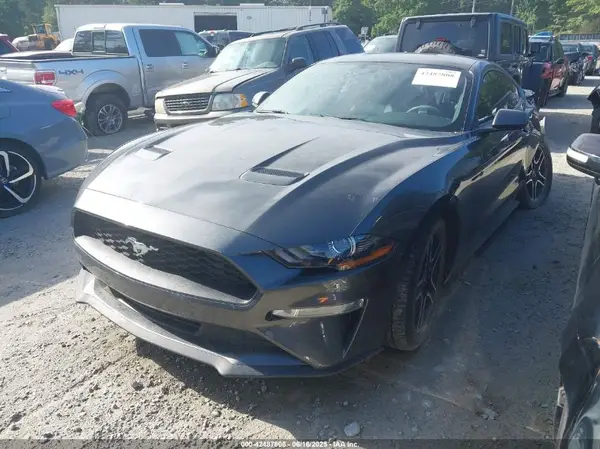 1FA6P8TH5K5116389 2019 FORD MUSTANG - Image 2