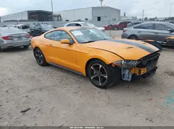 1FA6P8TH5K5116778 2019 FORD MUSTANG