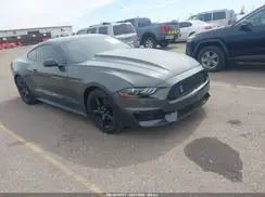 1FA6P8TH5K5117509 2019 FORD MUSTANG