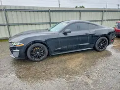 1FA6P8TH5K5117882 2019 FORD MUSTANG