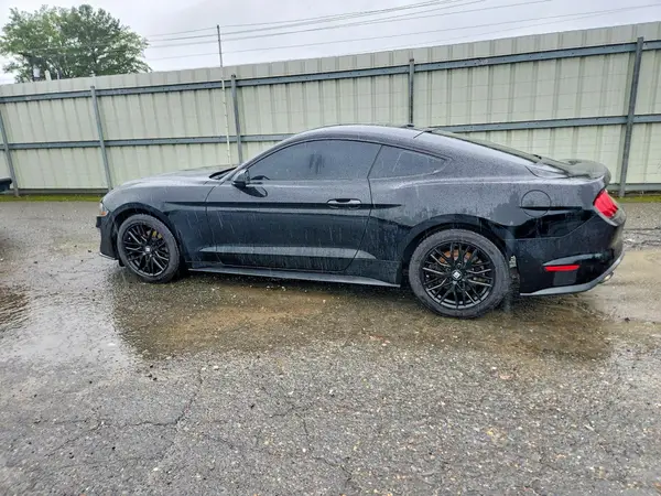 1FA6P8TH5K5117882 2019 FORD MUSTANG - Image 2