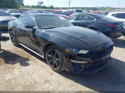 1FA6P8TH5K5120619 2019 FORD MUSTANG