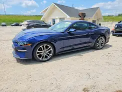 1FA6P8TH5K5122676 2019 FORD MUSTANG
