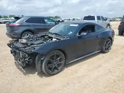 1FA6P8TH5K5125125 2019 FORD MUSTANG
