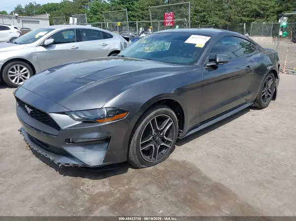 1FA6P8TH5K5129501 2019 FORD MUSTANG - Image 2
