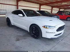 1FA6P8TH5K5131099 2019 FORD MUSTANG
