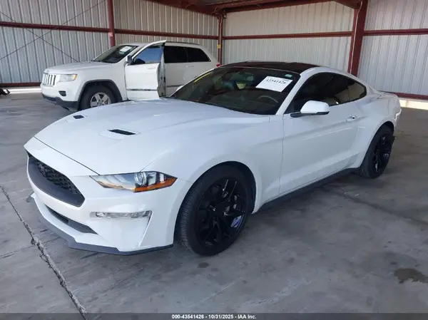 1FA6P8TH5K5131099 2019 FORD MUSTANG - Image 2