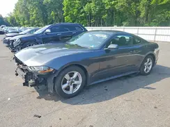 1FA6P8TH5K5132091 2019 FORD MUSTANG