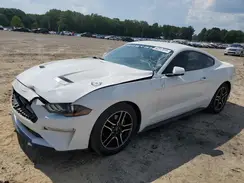 1FA6P8TH5K5132186 2019 FORD MUSTANG
