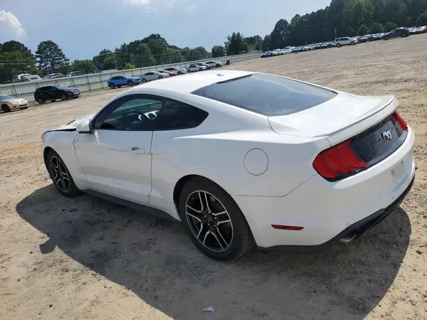 1FA6P8TH5K5132186 2019 FORD MUSTANG - Image 2