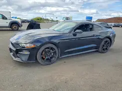 1FA6P8TH5K5148369 2019 FORD MUSTANG