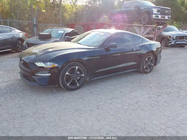 1FA6P8TH5K5157816 2019 FORD MUSTANG - Image 2