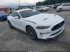 1FA6P8TH5K5159503 2019 FORD MUSTANG