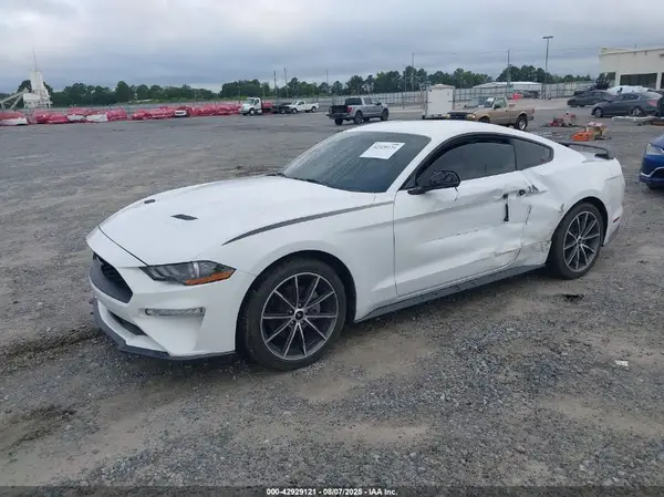 1FA6P8TH5K5159503 2019 FORD MUSTANG - Image 2