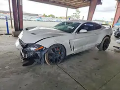 1FA6P8TH5K5161316 2019 FORD MUSTANG