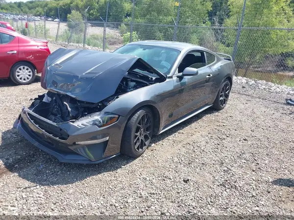 1FA6P8TH5K5163258 2019 FORD MUSTANG - Image 2