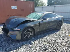 1FA6P8TH5K5163468 2019 FORD MUSTANG