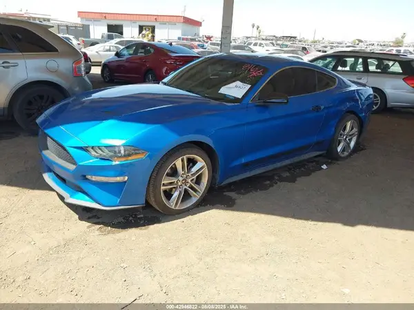 1FA6P8TH5K5163695 2019 FORD MUSTANG - Image 2