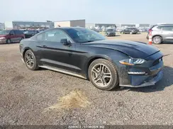 1FA6P8TH5K5164507 2019 FORD MUSTANG