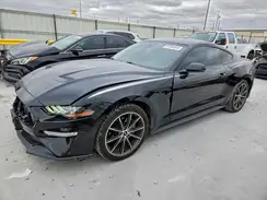 1FA6P8TH5K5168217 2019 FORD MUSTANG