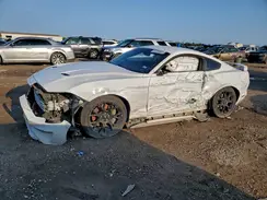 1FA6P8TH5K5168797 2019 FORD MUSTANG