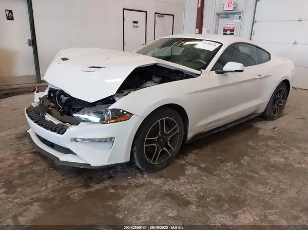 1FA6P8TH5K5172056 2019 FORD MUSTANG - Image 2