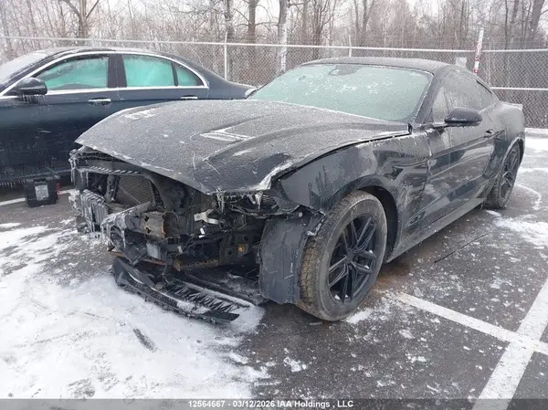 1FA6P8TH5K5172865 2019 FORD MUSTANG - Image 2